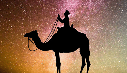 Islamic Philosophy Camel